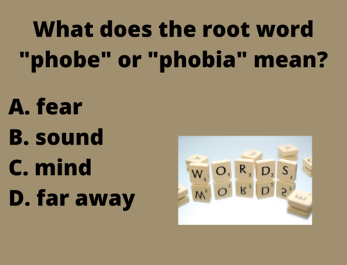 The ASVAB Tutor Presents Word Knowledge Question on Root Word -Phobe or -Phobia