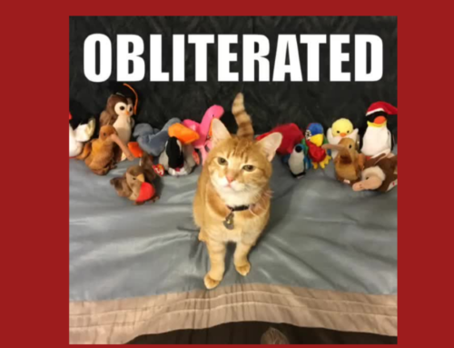 The Asvab Tutor Presents Quote From David Goggins The Asvab Tutor