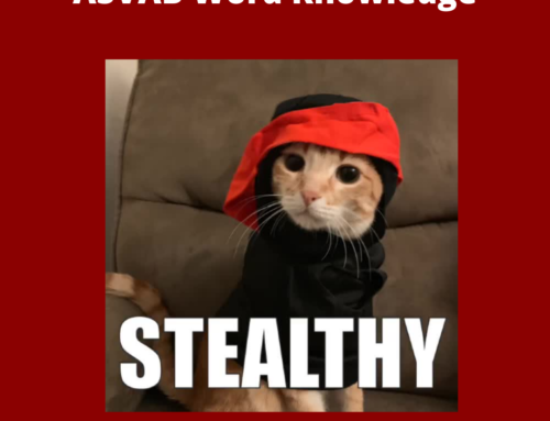 The ASVAB Tutor Presents Video on the Word “Stealthy”
