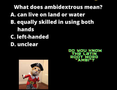 The ASVAB Tutor Presents the Word “Ambidextrous”