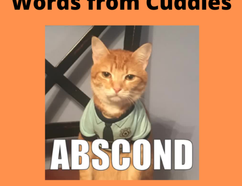 The ASVAB Tutor Presents Video on the Word “Abscond”