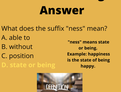 The ASVAB Tutor Presents Meaning of Suffix “Ness”