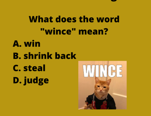 The ASVAB Tutor Presents the Word “Wince”