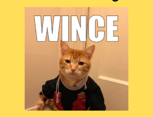 The ASVAB Tutor Presents Video on the Word “Wince”