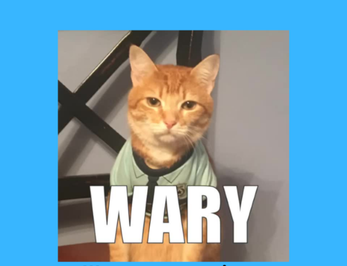 The ASVAB Tutor Presents a Video for the Word “Wary”