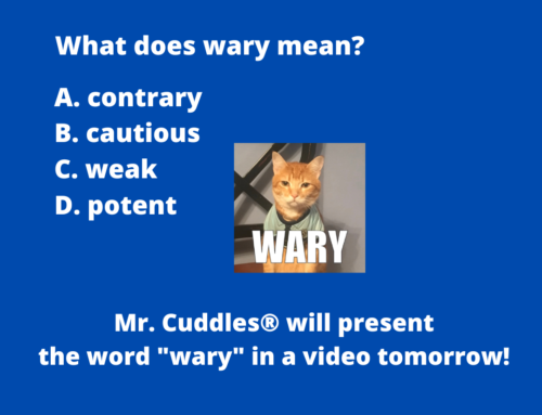 The ASVAB Tutor Presents the Word “Wary”