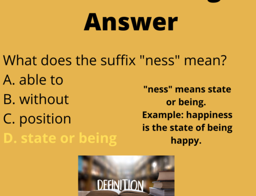 The ASVAB Tutor Presents Meaning of the Suffix -Ness