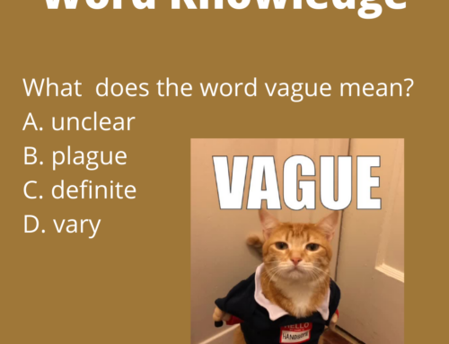 The ASVAB Tutor Presents Word Knowledge Question on the Word “Vague”