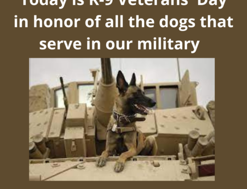 The ASVAB Tutor Remembers K-9 Veterans Day, March 13